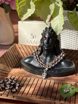 Divya Aashirwad – 5 Mukhi Silver Rudraksha Mala