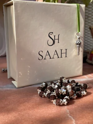 Bajrang Gada 5 Mukhi Pure Silver Rudraksha Mala | 925 Hallmark Certified